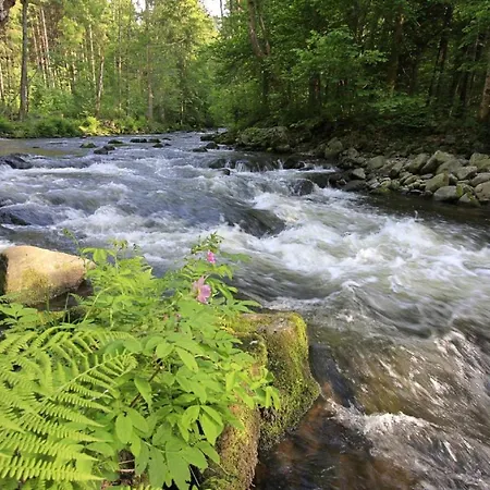 Сasa de vacaciones Hütte 19